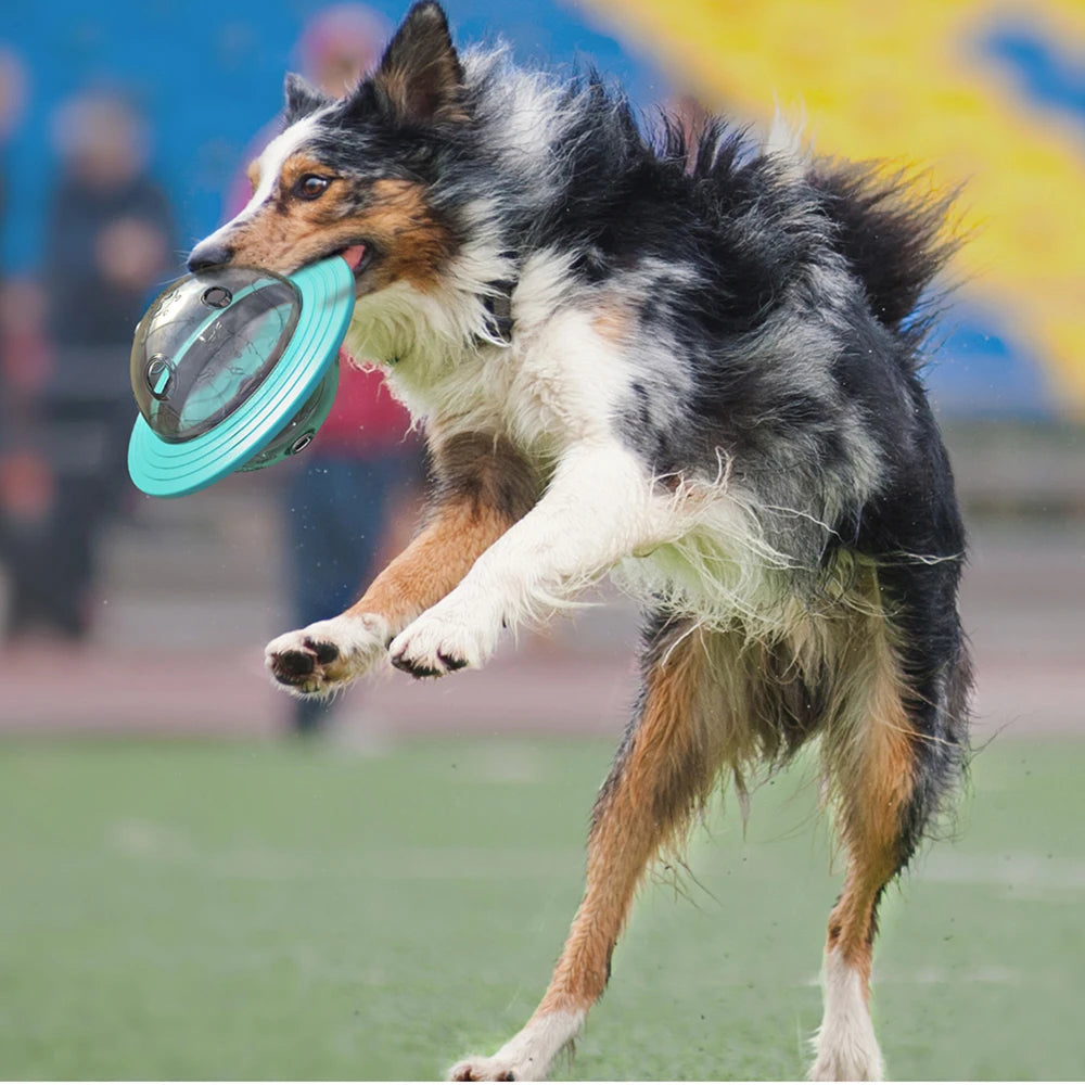 Slow Feed Dog Toy For Small Medium Large Dogs Cats Funny Interactive Improve IQ Puppy Planet Toys Chihuahua Beagle Pet Supplies