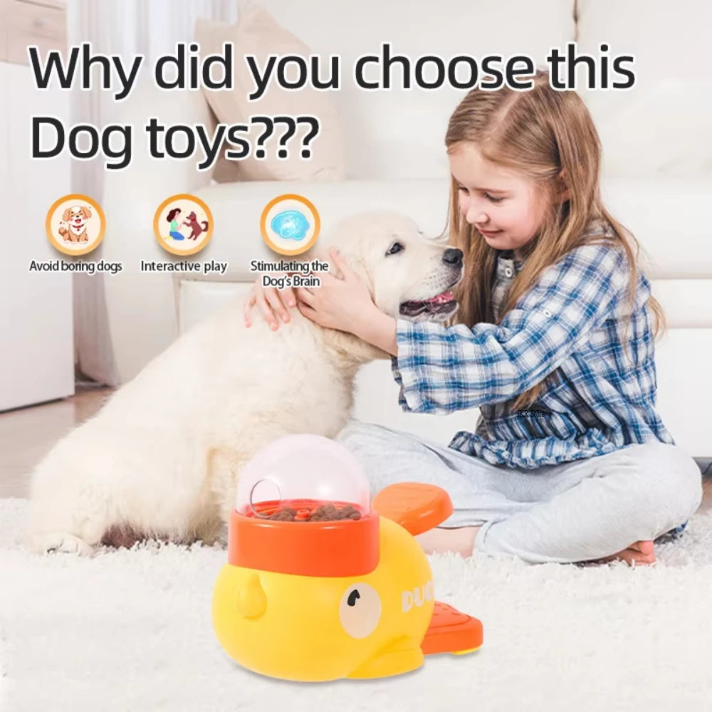 Duck Traning toy