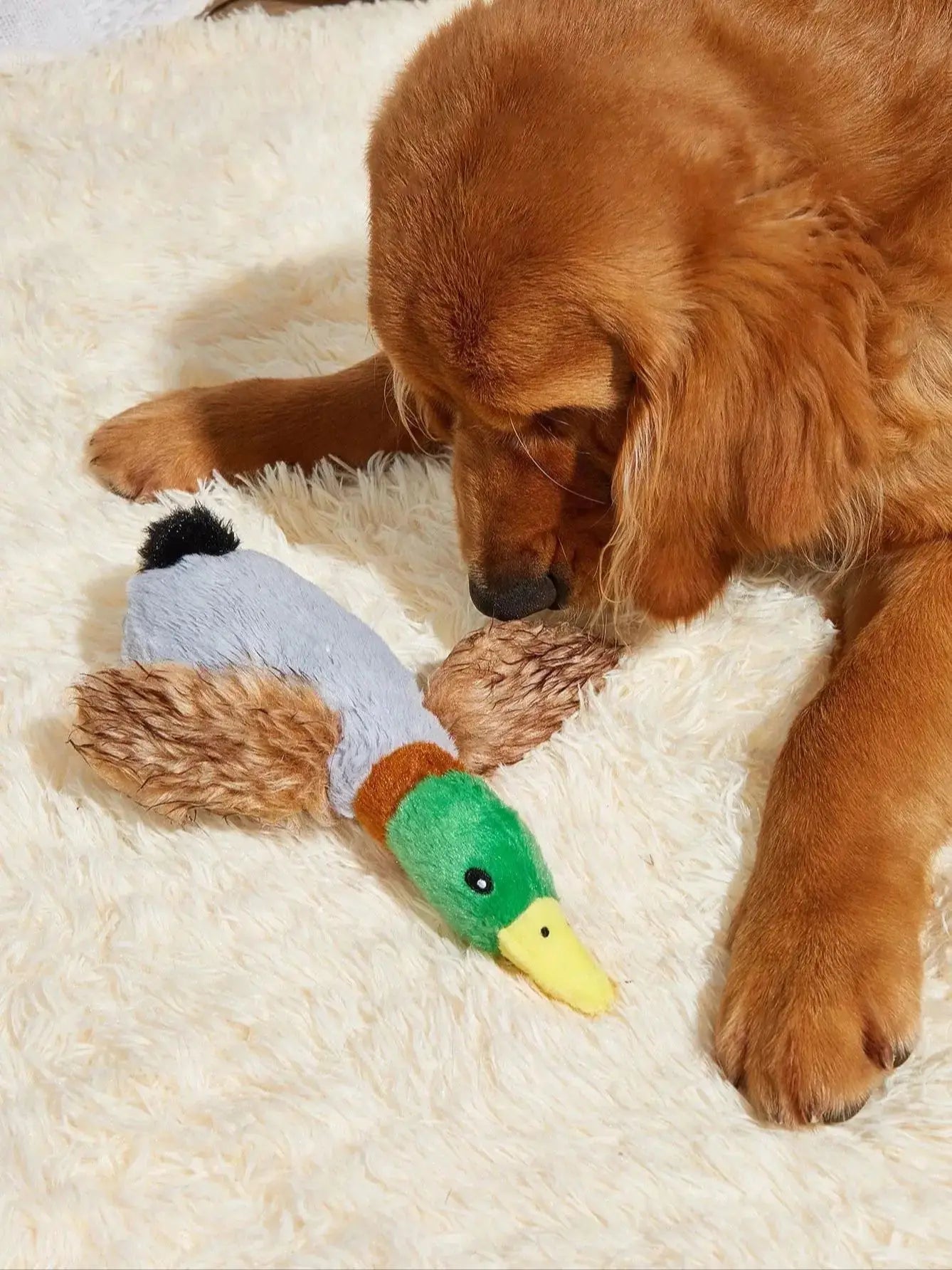 Wild Duck Style Pet Dog Toy Dogs Pet Toys Fun Durable Chewing Teeth