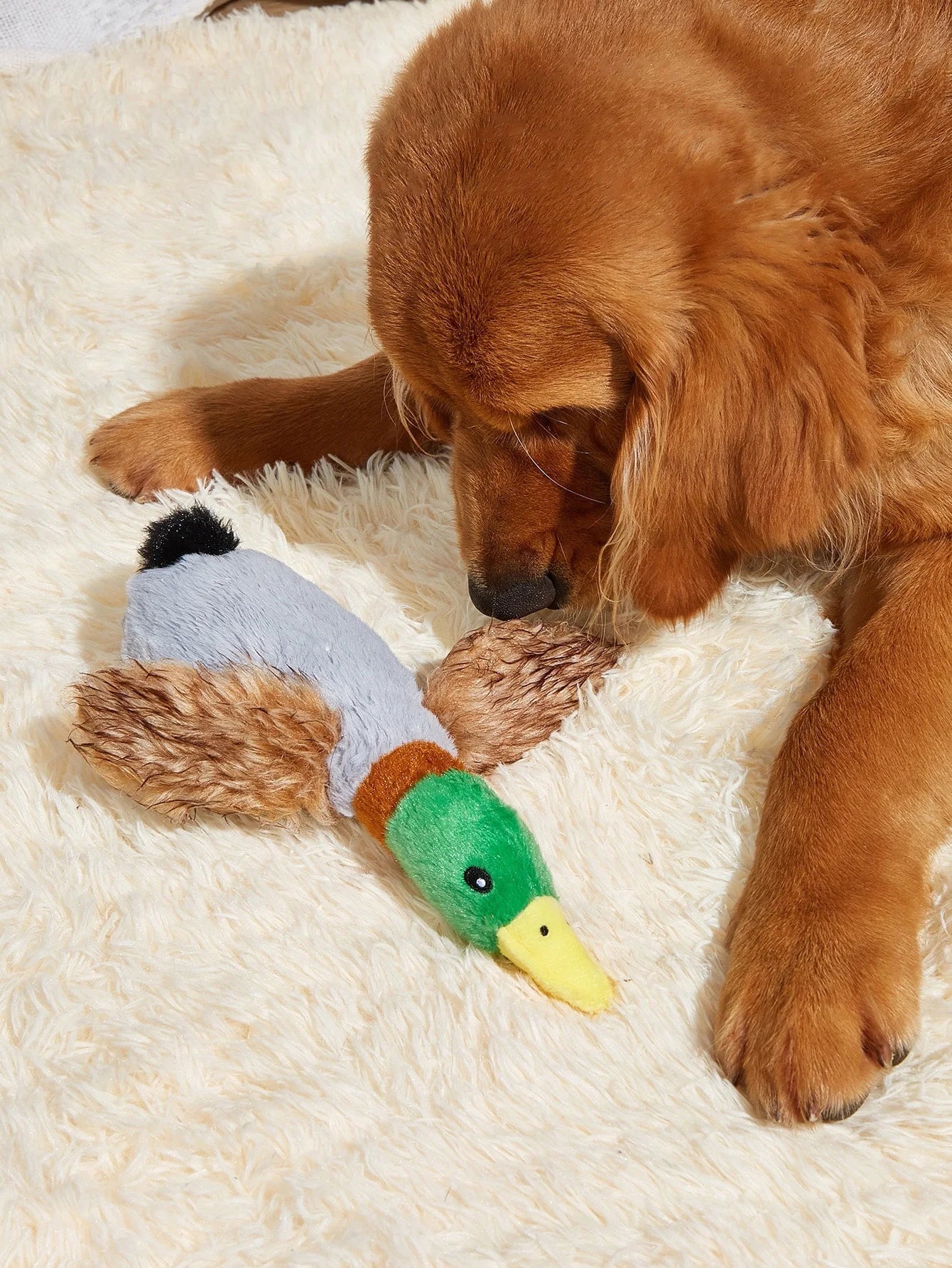Wild Duck Style Pet Dog Toy Dogs Pet Toys Fun Durable Chewing Teeth
