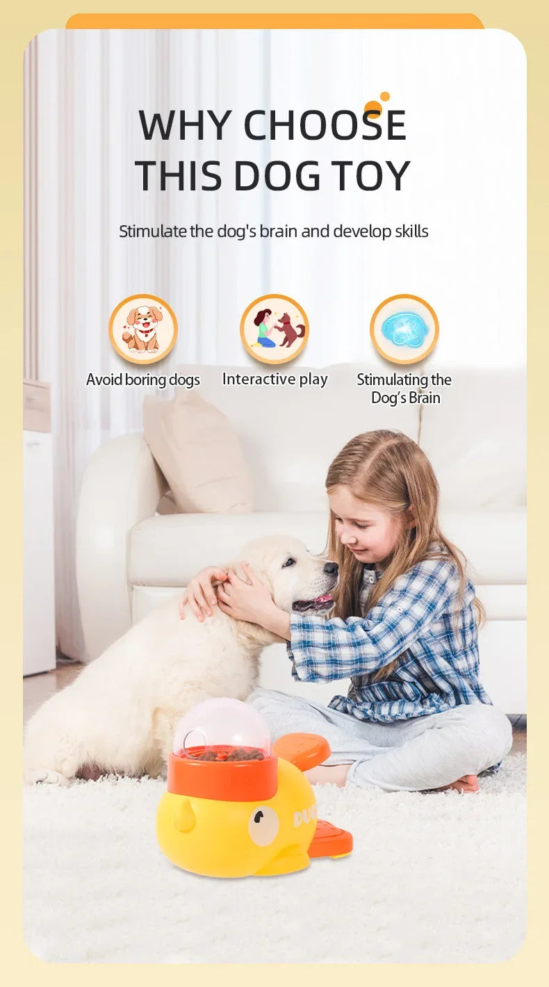 Duck Traning toy