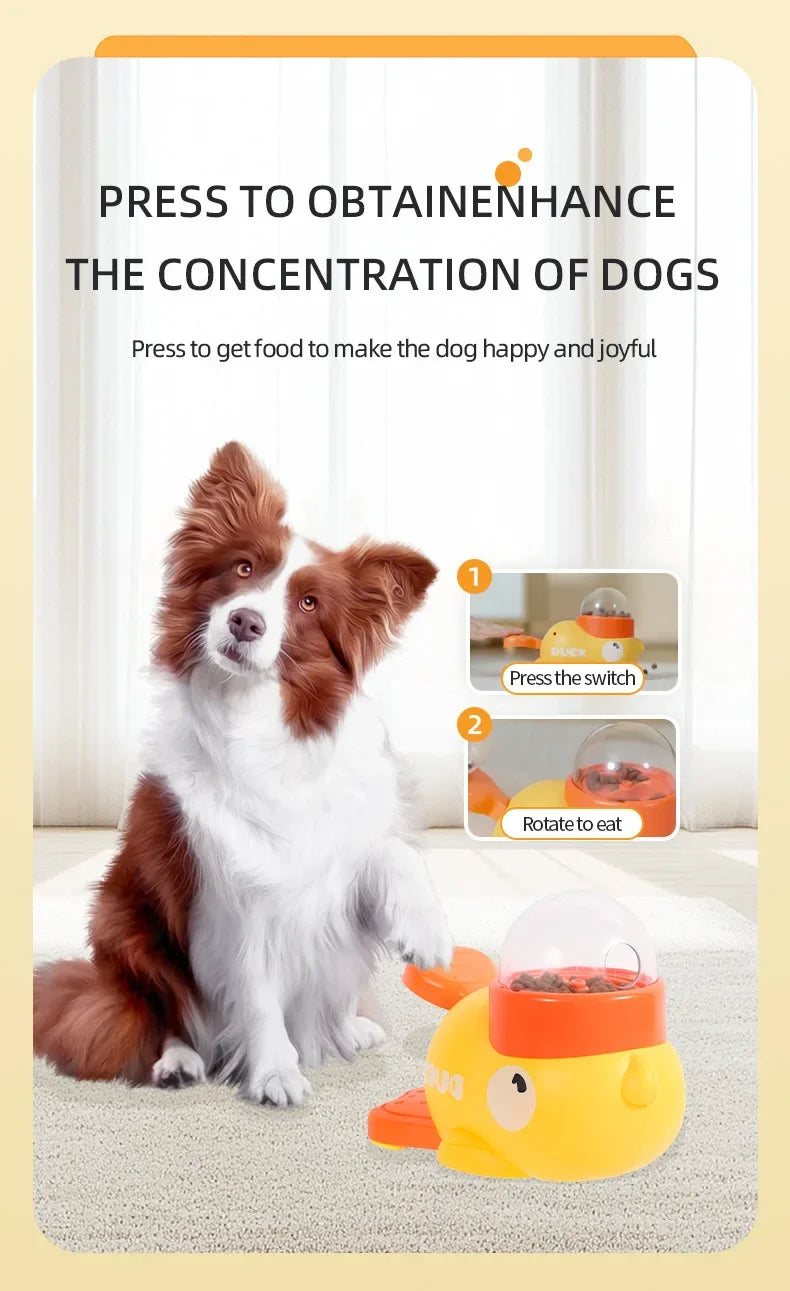 Duck Traning toy
