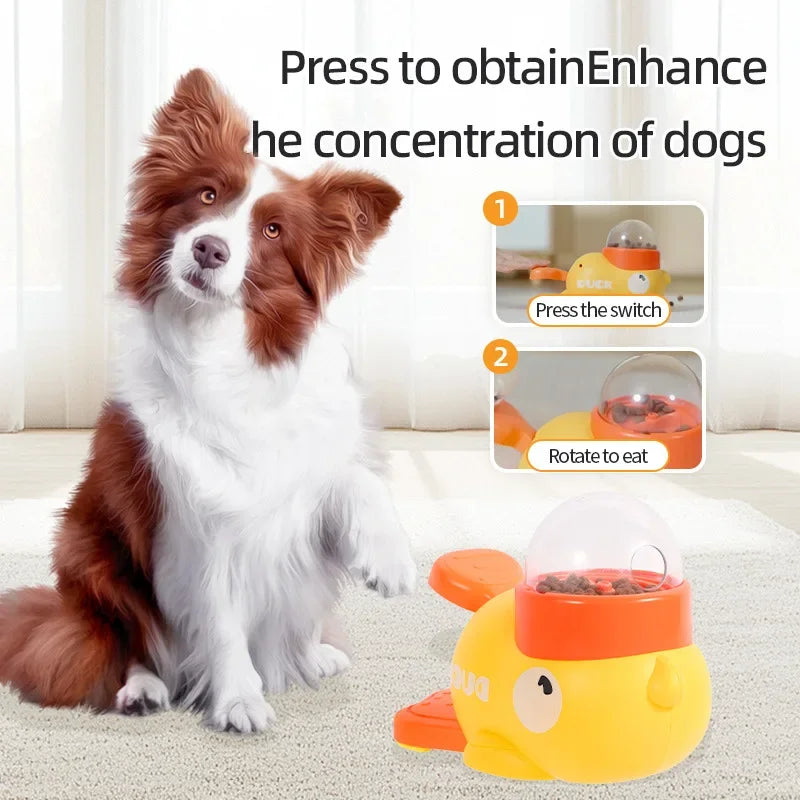 Duck Traning toy