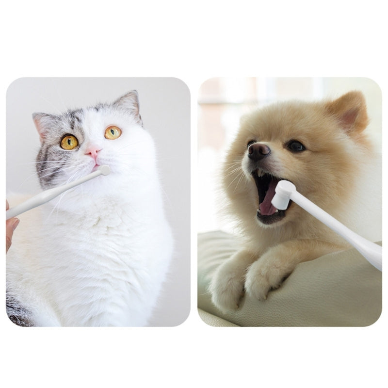 Pet Toothbrush
