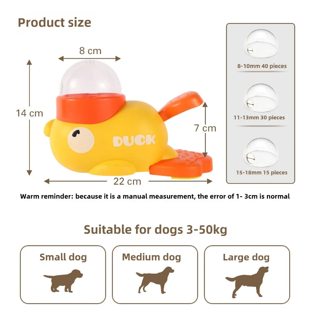 Duck Traning toy