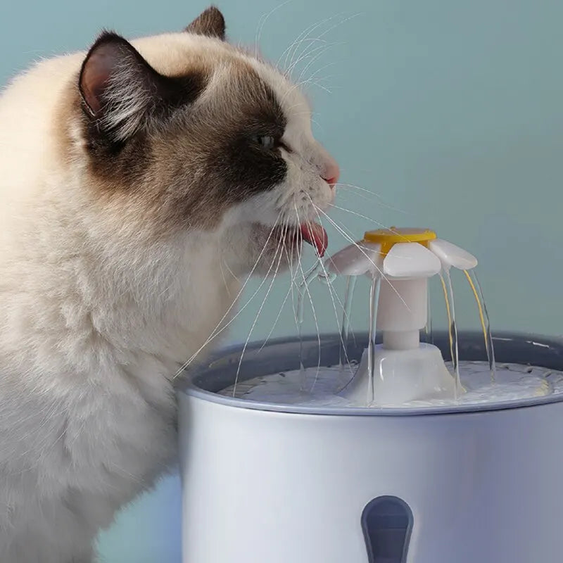 Pet intelligent automatic water dispenser