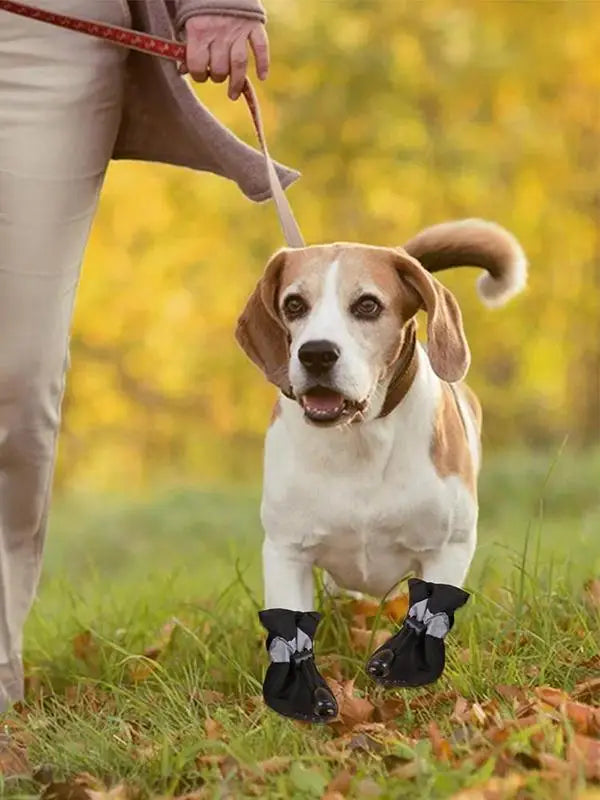 Waterproof Dog Shoes
