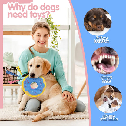 Dog donuts, noisy paper toys