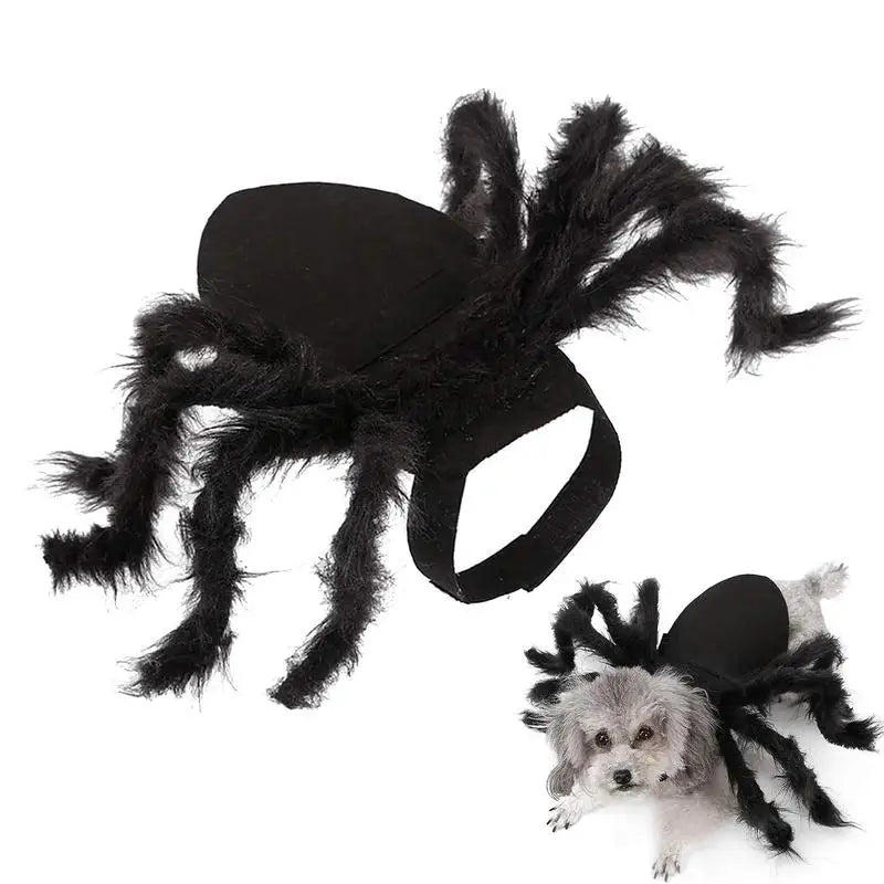 Halloween cute Pet Spider Costume🤗