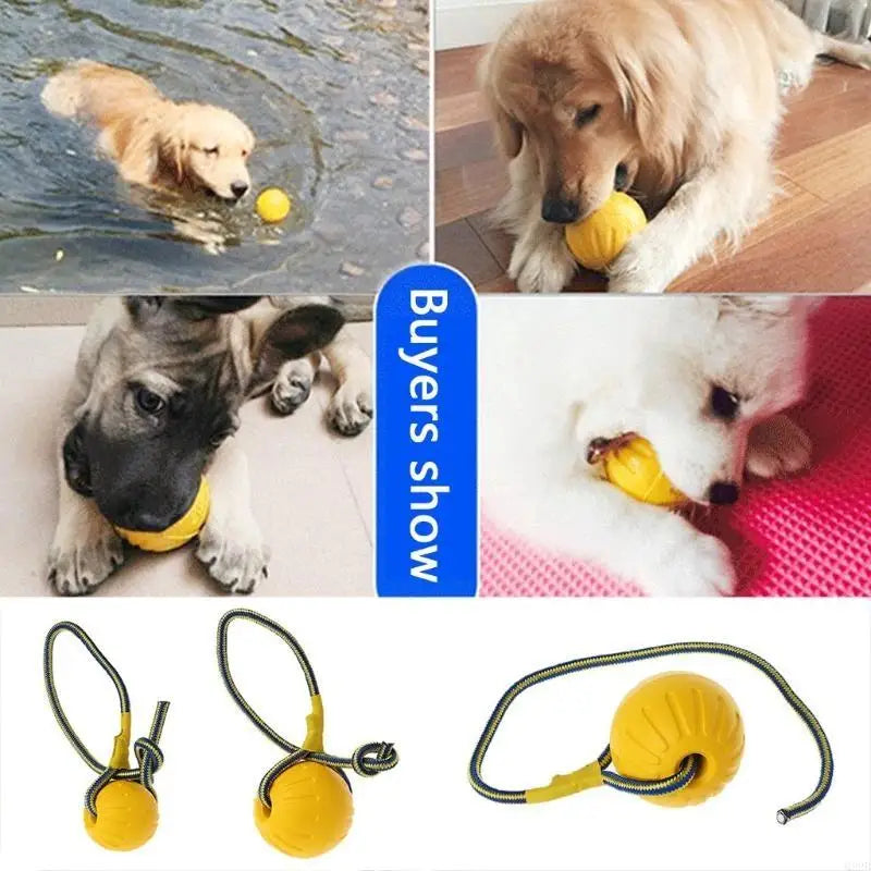 New Pet Dog Training Toy Ball Dog Rubber Ball Chew Bite Resistant Toy With Rope