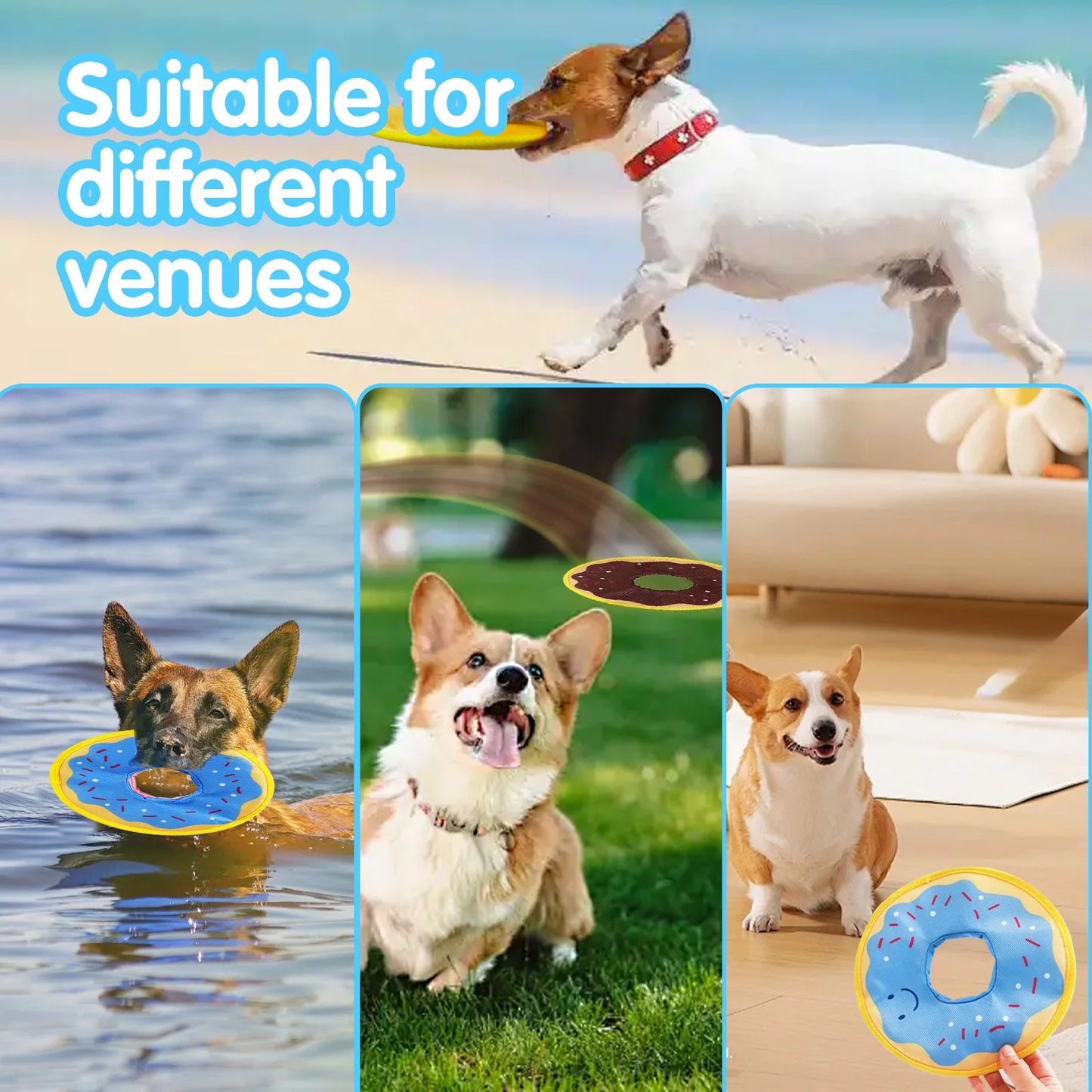 Dog donuts, noisy paper toys