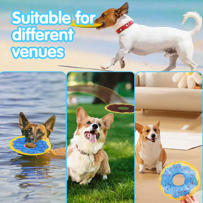Dog donuts, noisy paper toys