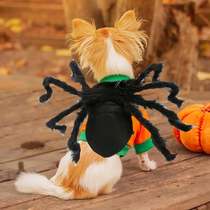 Halloween cute Pet Spider Costume🤗