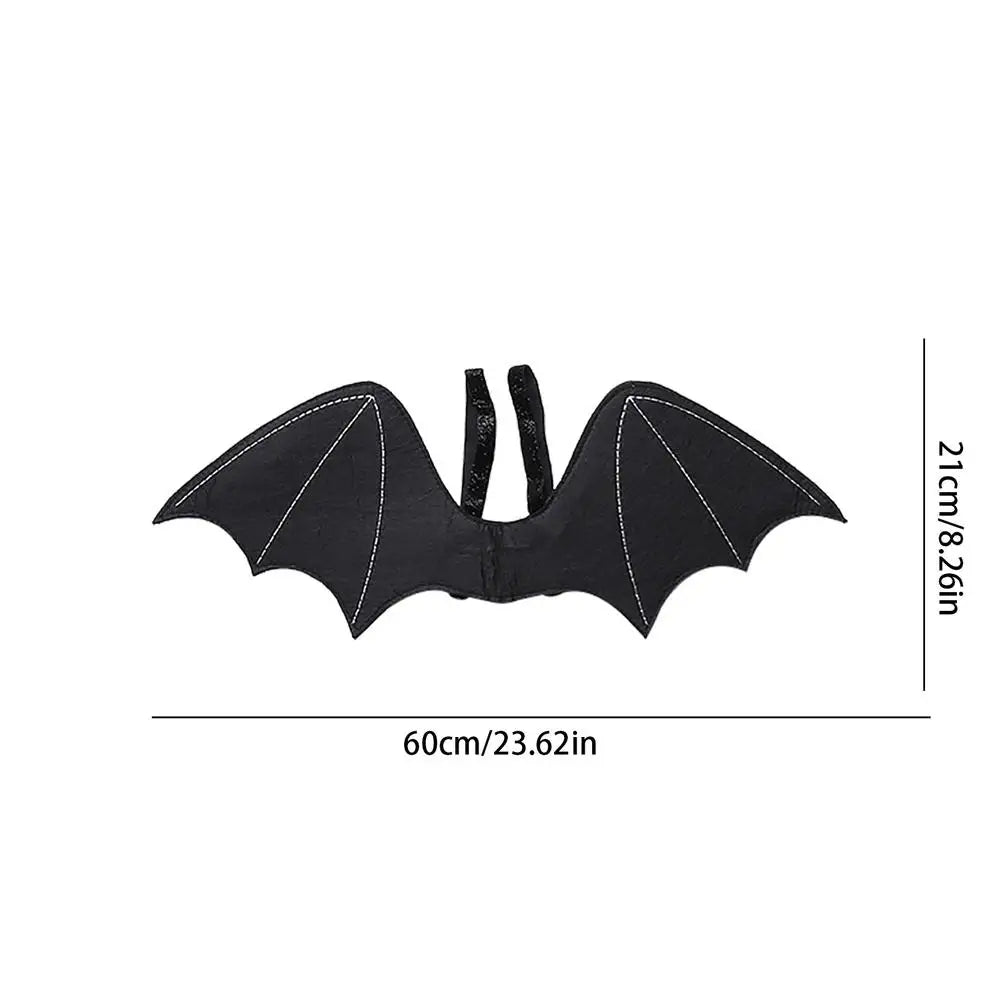 Halloween Bat Wing Costume 🤗