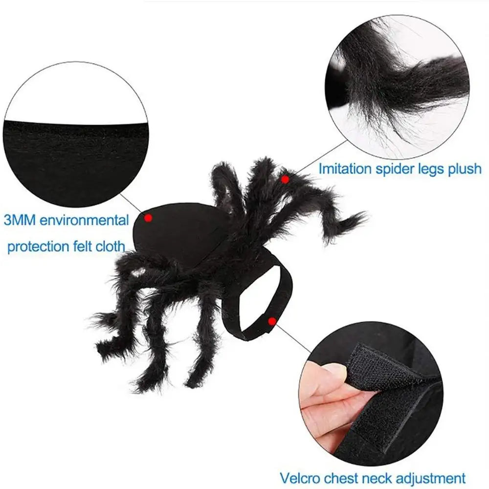 Halloween cute Pet Spider Costume🤗