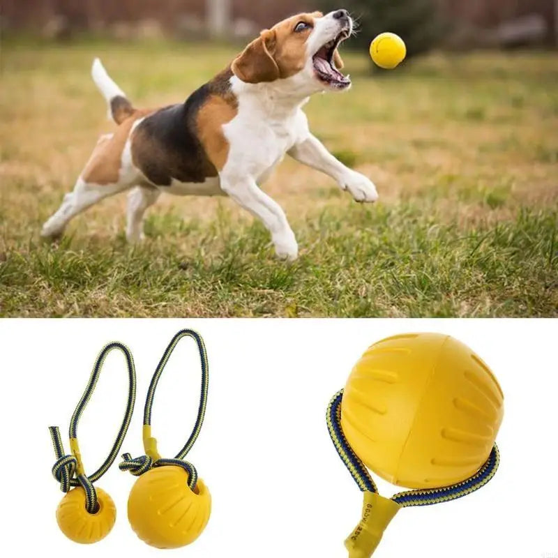 New Pet Dog Training Toy Ball Dog Rubber Ball Chew Bite Resistant Toy With Rope