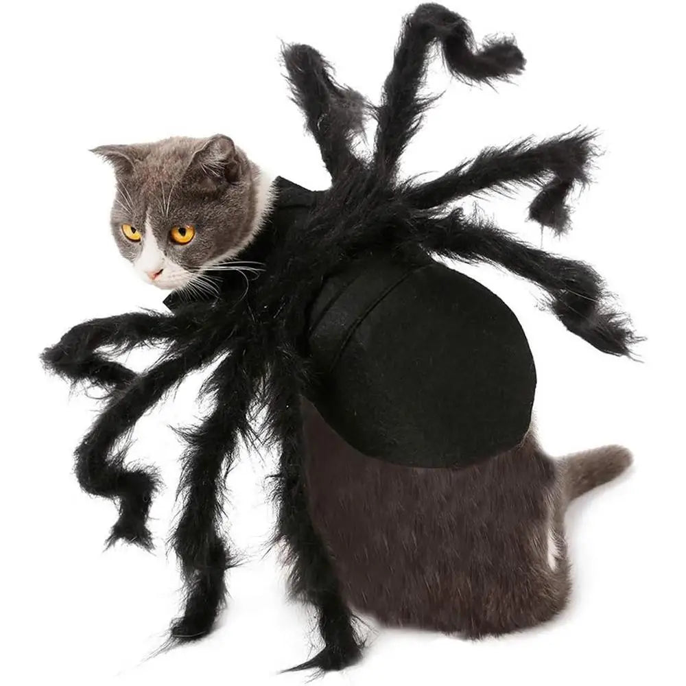 Halloween cute Pet Spider Costume🤗