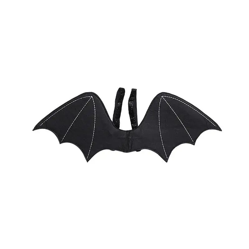 Halloween Bat Wing Costume 🤗